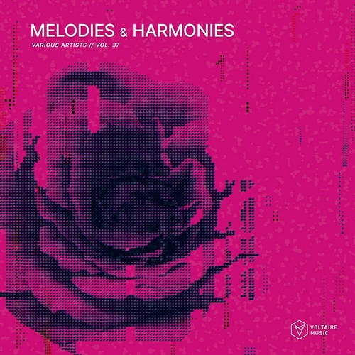 VA - Melodies & Harmonies Vol 37 [VOLTCOMP124]